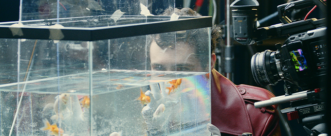 Un ragazzo guarda in un'acquario durante le riprese di un film