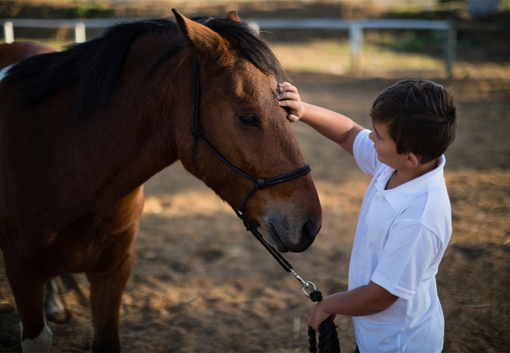 Un bambino accarezza un cavallo